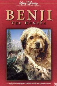 Бенджи-охотник