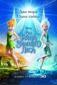 Феи: Тайна зимнего леса