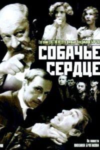 Собачье сердце